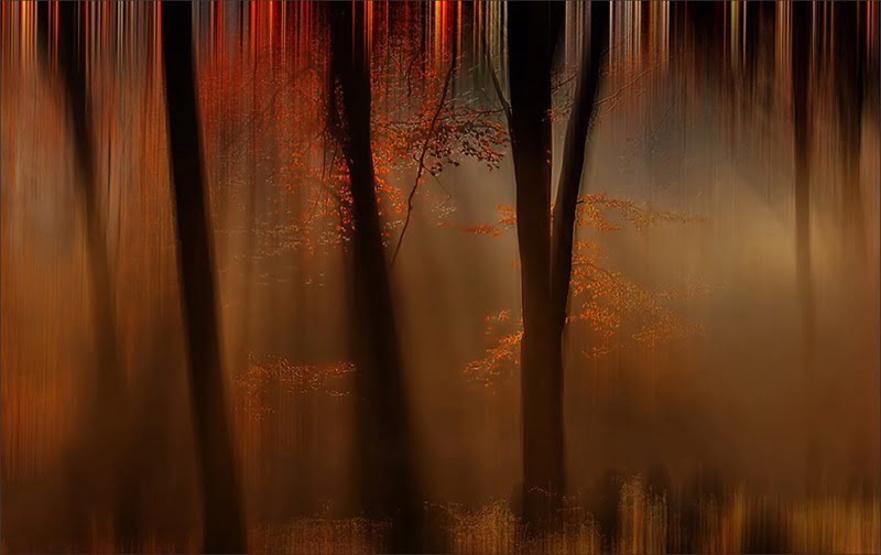 Shafts of wintry sun