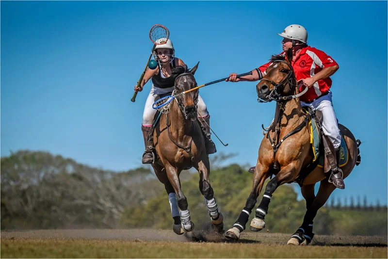 Silver Medal Junior Winner Laura Oppel Hibiscus Coast Photographic Society Catch That Ball
