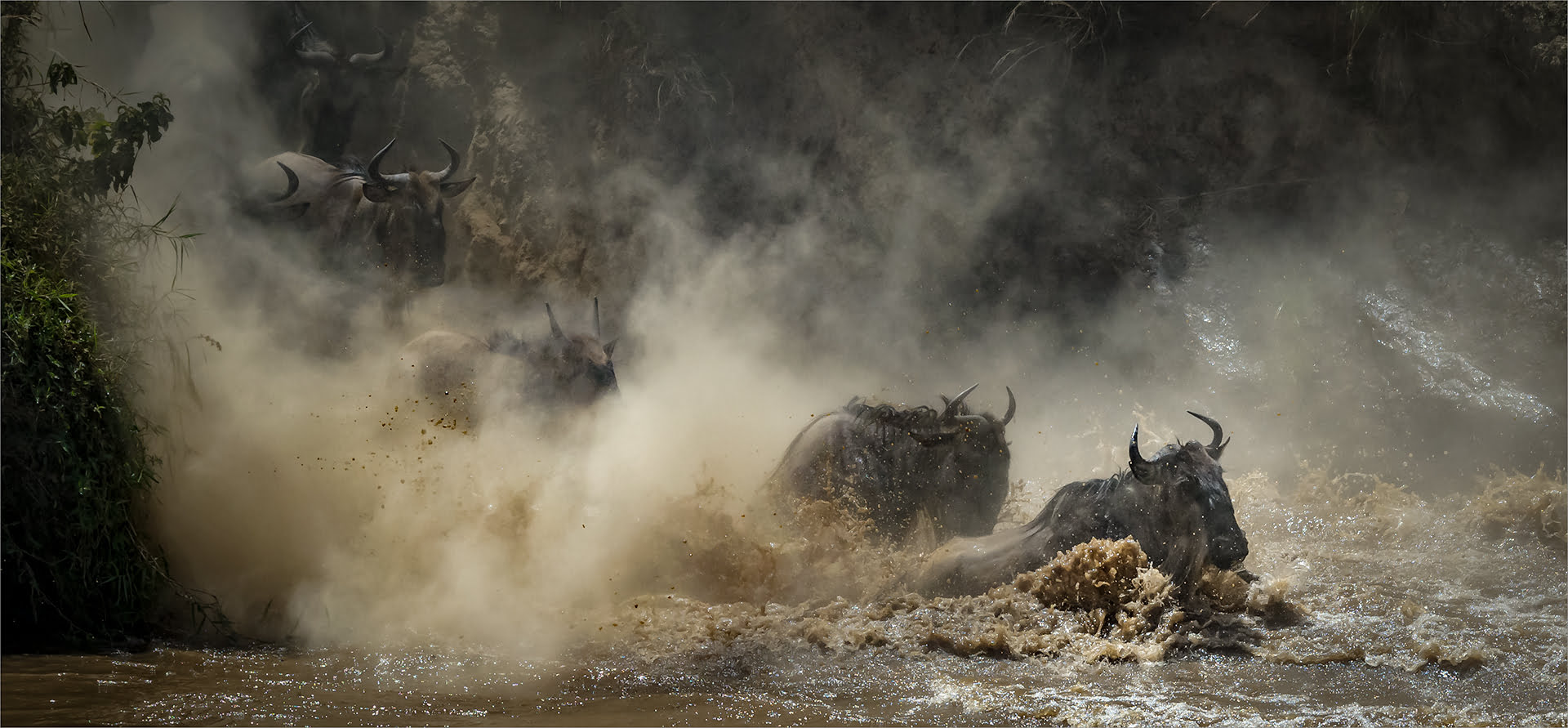 Tania CHOLWICH AFO Photography Club The Most Spectacular Migration In The World