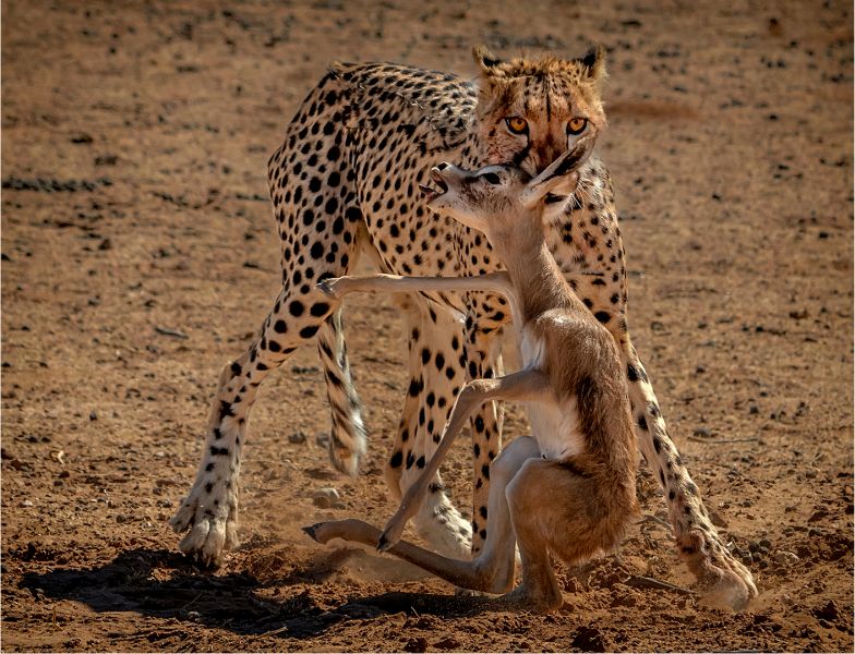 Willie Labuschagne Magalies Foto Fun Club No escape 2185