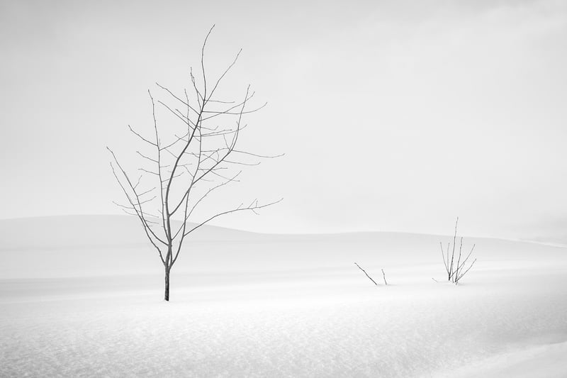 Winter Solitude Brian Clark 319 Scotland