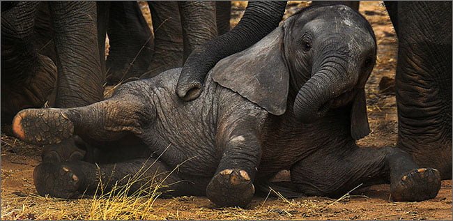 2017.06 John Coumbias Mother hug 650