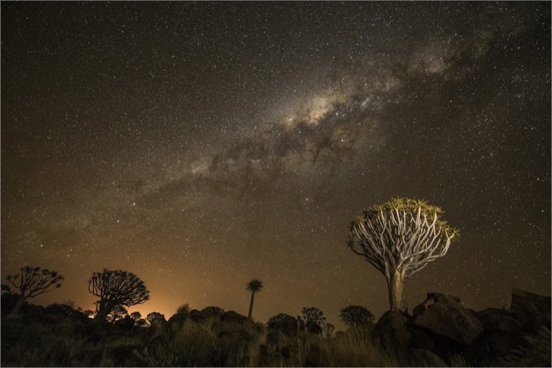 2017.08 Dewald Tromp Quiver milky way