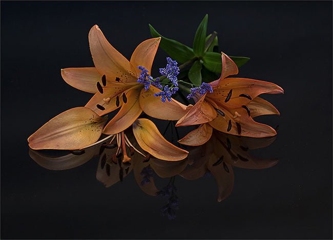 2017.08 LourensDuRand Colourful