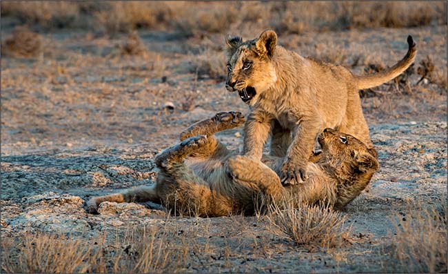 2017.10 Annemarie du Plessis sunset playtime