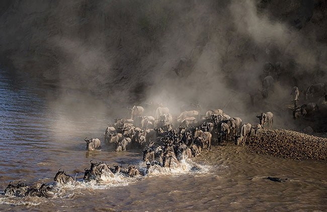 2017 Treurnicht du Toit 650 Urgent Crossing of Mara River