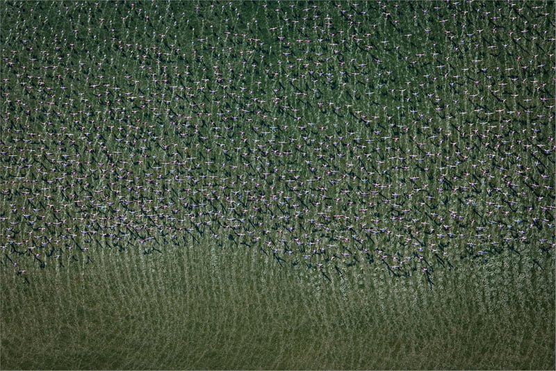 2018.12 Dewald Tromp Mass Action