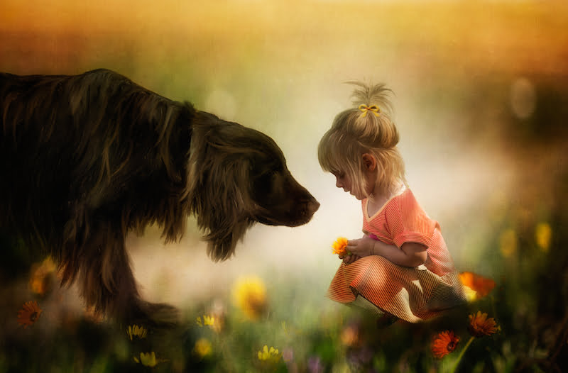 CG Soulful connection