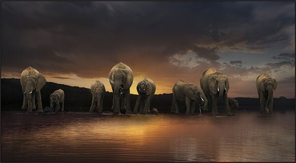 Charlaine Gerber Early morning drink