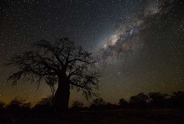 2014 medal winners – Photographic Society of South Africa