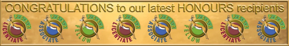 Banner article page