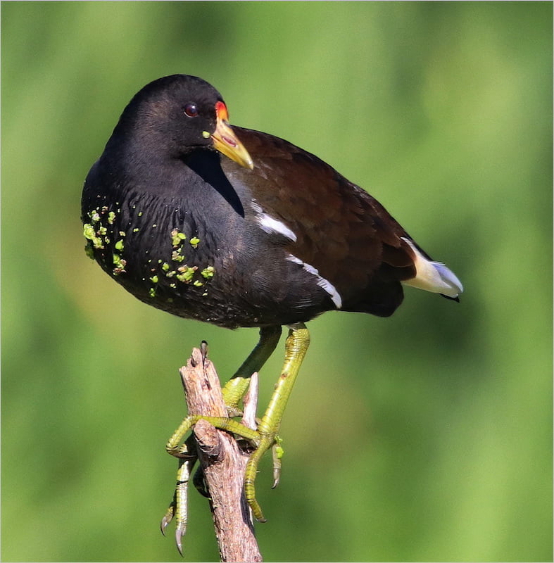 Cherizene Snyman Wat n uitsig