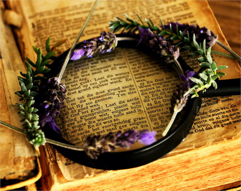 wNaaswenner Digitale Kamera Foto Alexa Bothe Skepping storie