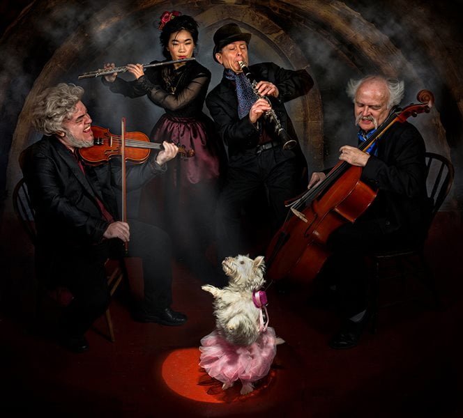 a Winner - Derek Galon - CAPA - Apassionata