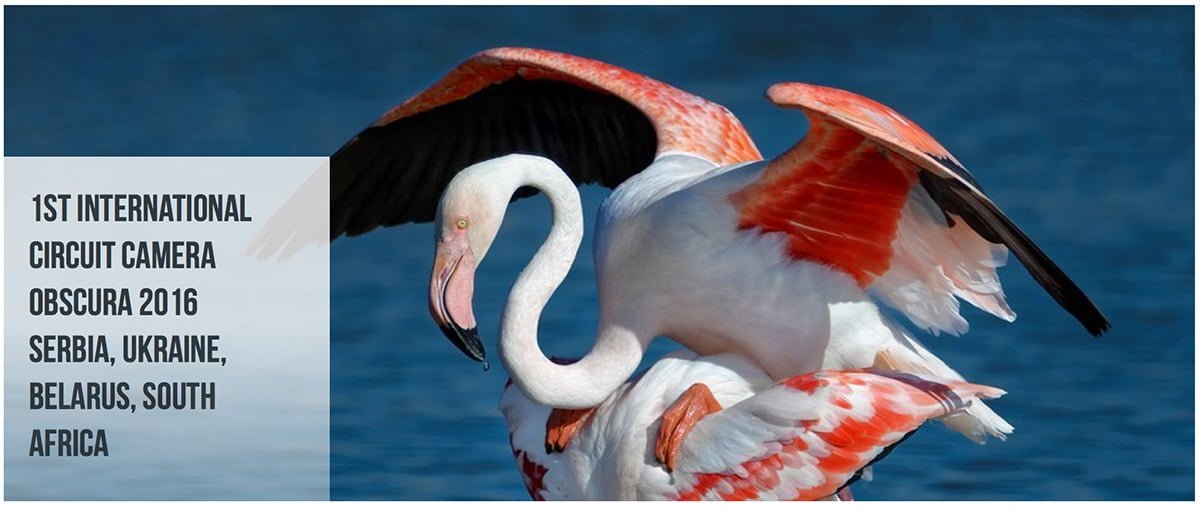 2016.09.14 Edenvale International Salon banner edit