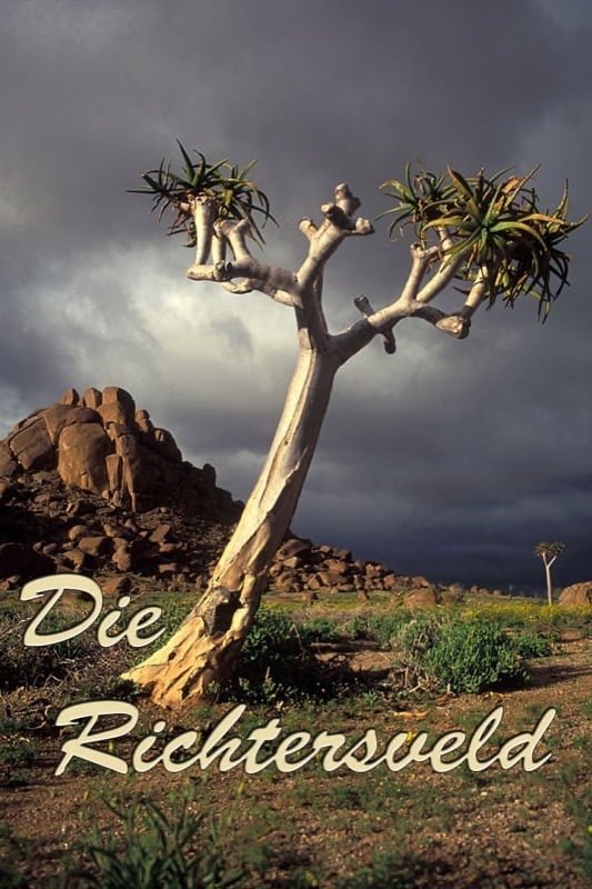 Certificate of Merit Richtersveld Friso Woudstra