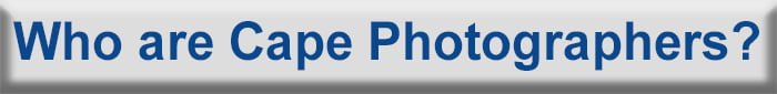 Who are Cape Photographers