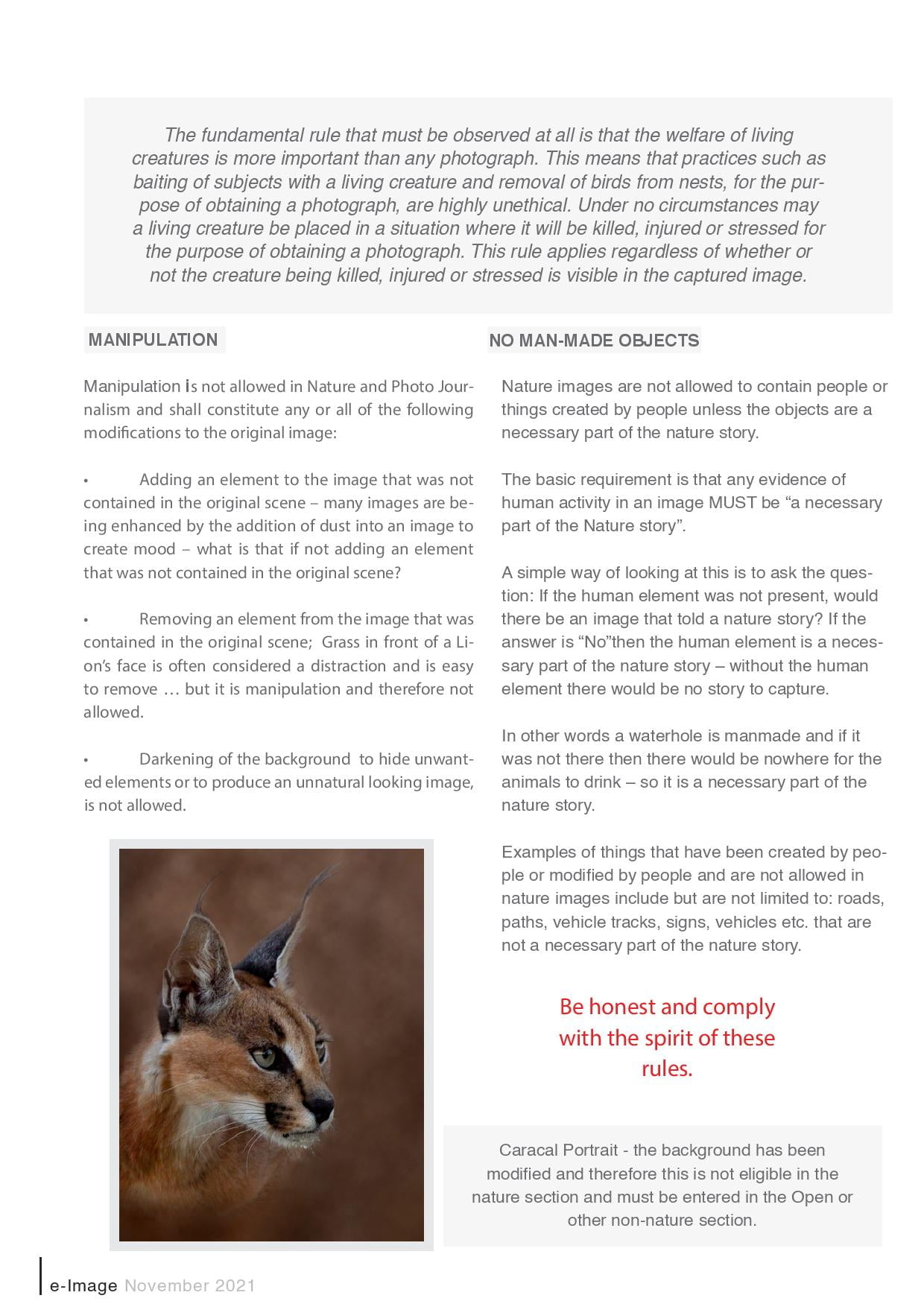 Salon Rules 2021 page 003