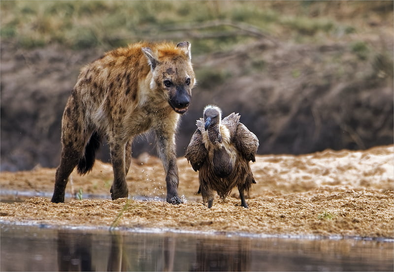 Adriaan Theron   Magalies Foto Fun Club   Friends no more