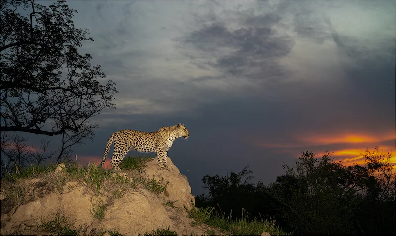 Evelyn Gibson Pretoria Photographic Society Admiring the Sunset