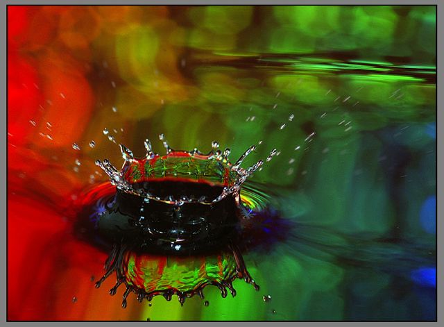 Carol Phillips - Splash of Colour