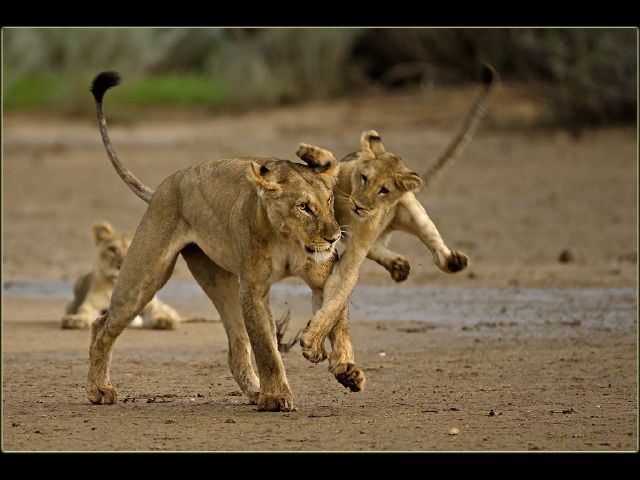 18  Delanie Lamprecht S ondeund - delanie lamprecht