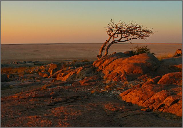 22  Ernest Arnold S Early bronzed - Ernest Arnold