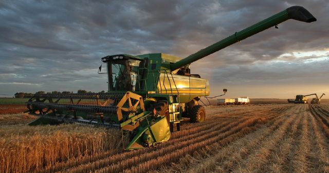 Jan Rheeder S Wheat Harvesting - Jan Rheeder