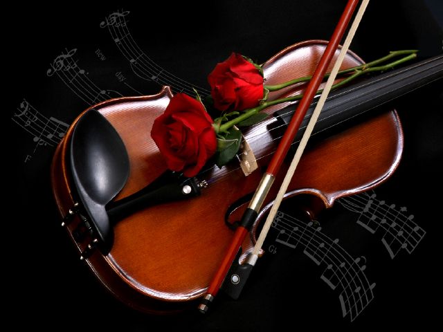 Laetitia Kenny S Violin with roses-laetitia kenny