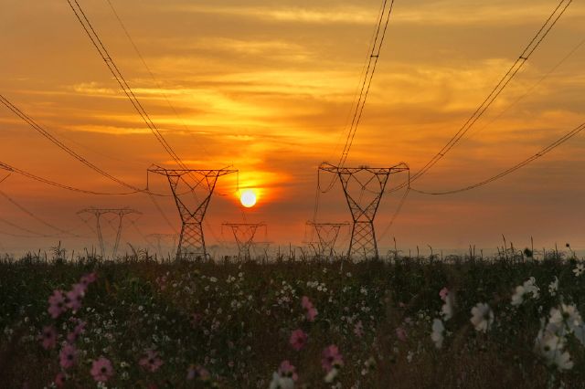 Marilou Manning S Cosmos sunrise Mariluo Manning