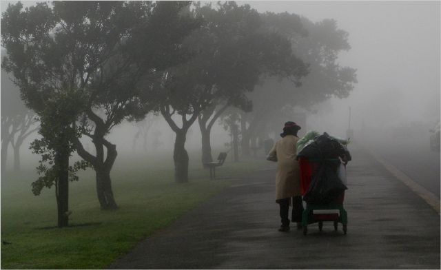 Mike Feldman allweather work