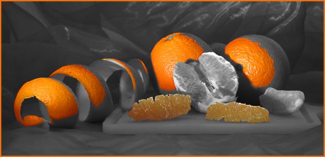 S Oranges 1 - myburgh susan