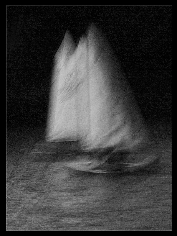 First Monochrome - Yacht Race - Doug Moulin - New Zealand