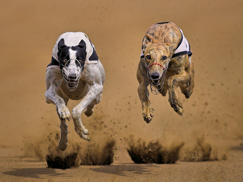 COM - Airborne - Fanie Haymans - South Africa