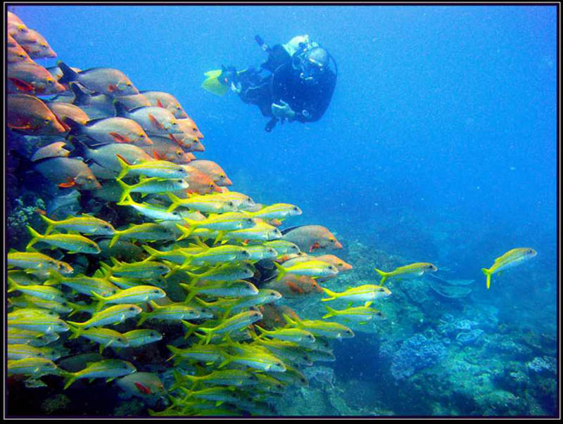 Charlaine Gerber - Diving at Sodwana