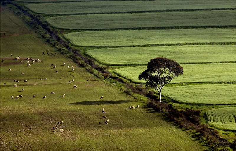 Jan Swiegers-Caledon
