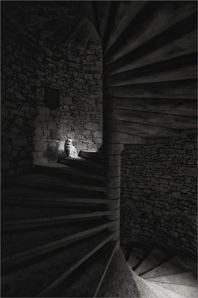 -Cat on the Stairs - Francois Rousseau