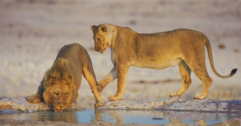 -Teasing-Melanie Loubser