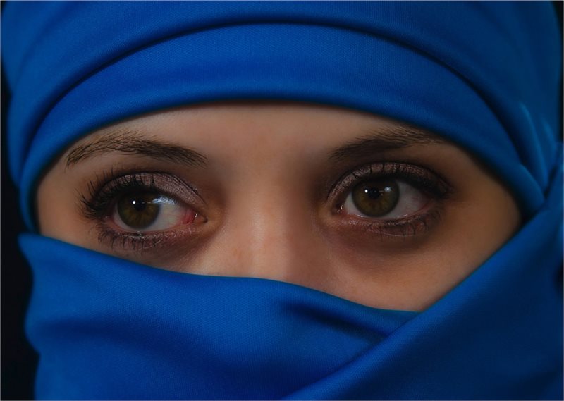 -Eyes Only-Human Meyer