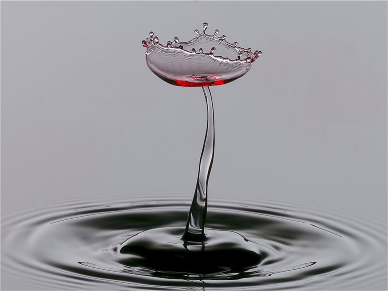 -Water Wine Glass-Roy Mann