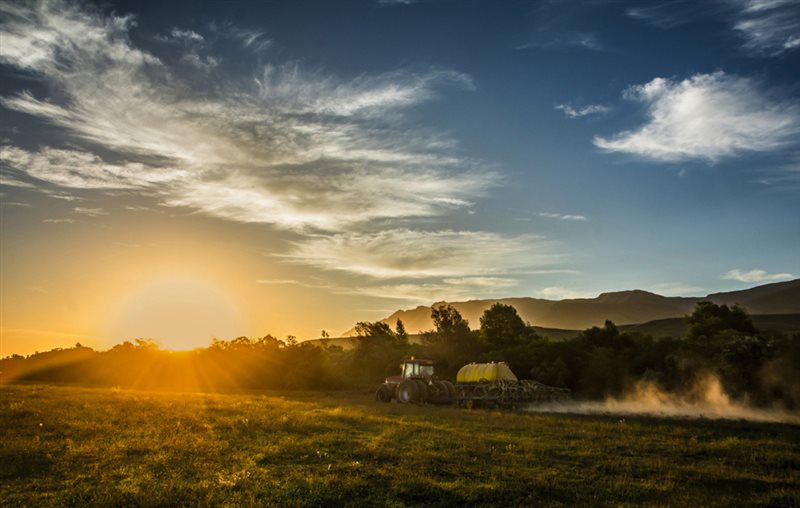 -Planting Season-Francina Swart