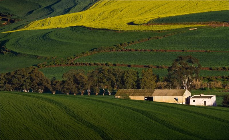 -Swartlandopstal-Wilma Labuschagne