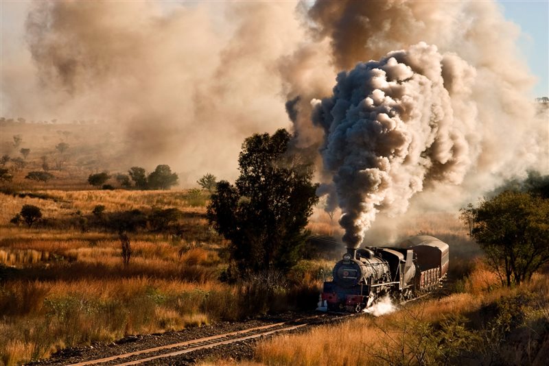 -Whipping Up Steam-Anne d Oliveira