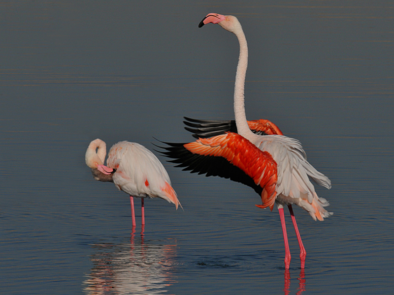 Heidi-Broschk-South Africa-