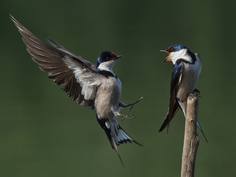 Jenny-Stilwell-South Africa-