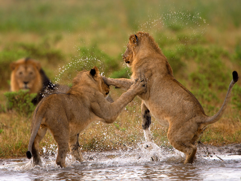 Jill-Sneesby-South Africa-