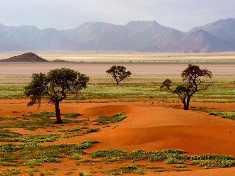 Mari-Hanni- South Africa-