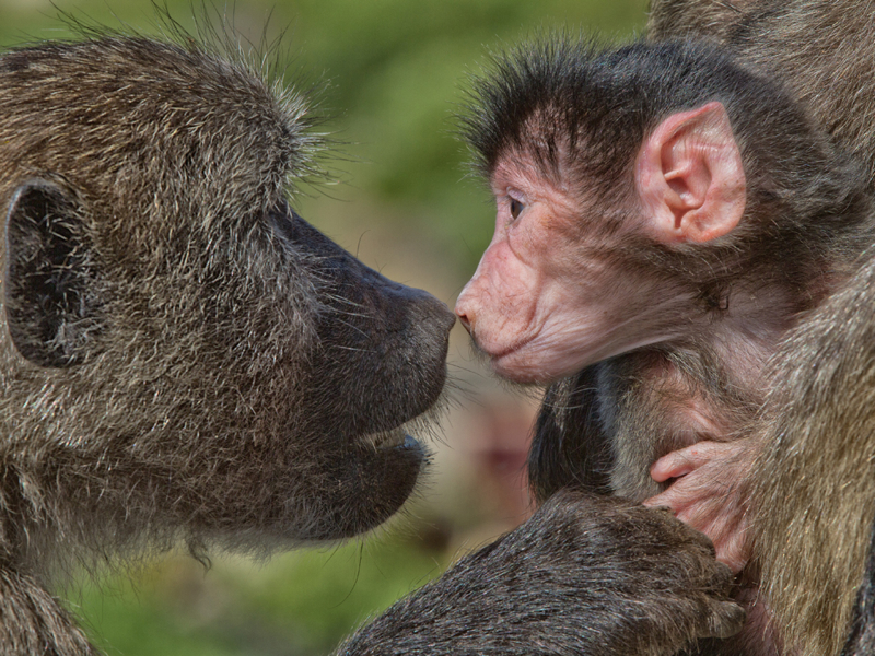 Rob-Tarr-South Africa-