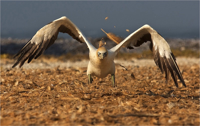 06 -Running start - Lee Slabber