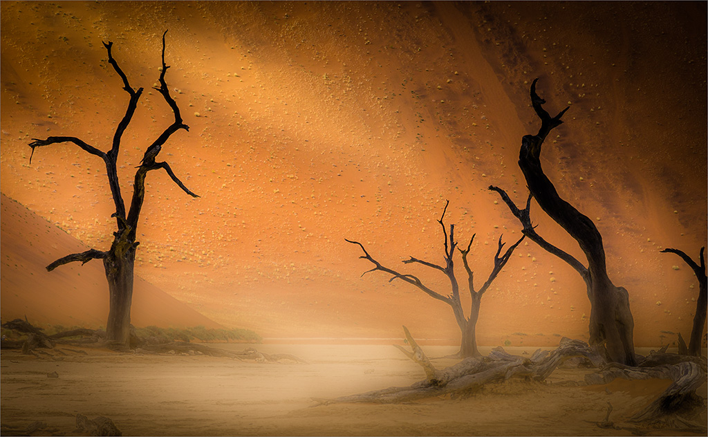 PSSA Silver - Nature Colour Misty Sossusvlei - Paul van Helden - Pretoria Photographic Society